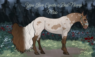 Thumbnail for 3923 You Give Spots a Bad Name