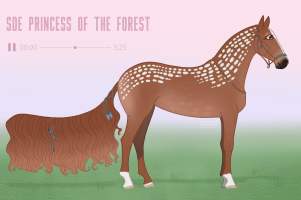 Thumbnail for 3991 SDE Princess of the Forest