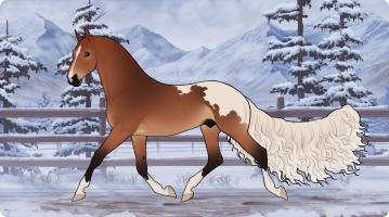 Thumbnail for 11197 BE Hearth Fire Warmin'