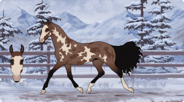 Thumbnail for 11203 Thats Slim Shady