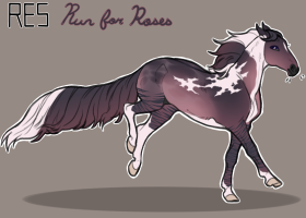 Thumbnail for 11119 RES Run For Roses