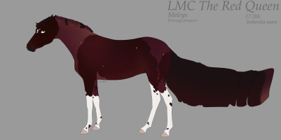 Thumbnail for 10470 LMC The Red Queen