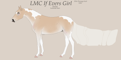 Thumbnail image for 5421 LMC If Evers Girl