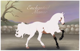 Thumbnail of 4308 EM’s Christmas Everlast