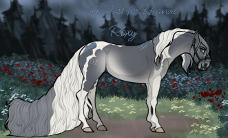 Thumbnail for 11265 Too Fast For Heaven