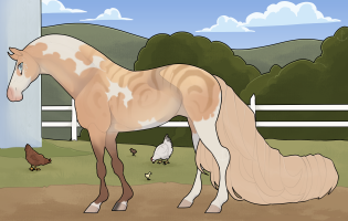 Thumbnail for 10088 BE Pinoli Pignoli Biscotto