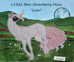 Thumbnail for 11321 Bmr Strawberry Moon