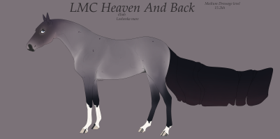 Thumbnail of 6138 LMC Heaven And Back