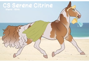Thumbnail image for 9496 CS Serene Citrine