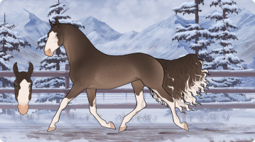 Thumbnail for 11386 Tiptoeing Pearl