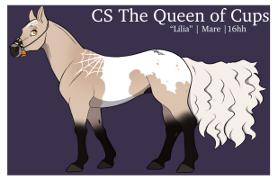 Thumbnail for 9971 CS The Queen of Cups