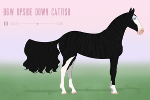 Thumbnail for 11271 B&amp;W Upside Down Catfish