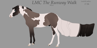 Thumbnail for 10944 Project: Antarctica