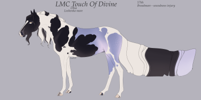Thumbnail for 11189 LMC Touch Of Divine