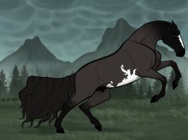 Thumbnail for 10715 Habeas Corpus