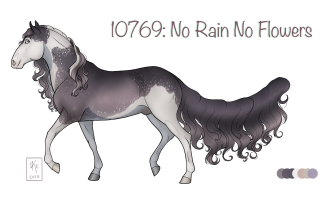 Thumbnail for 10769 No Rain No Flowers
