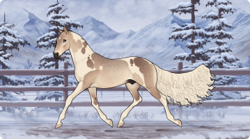 Thumbnail for 11496 TWS Yvo's Afternoon Affogato