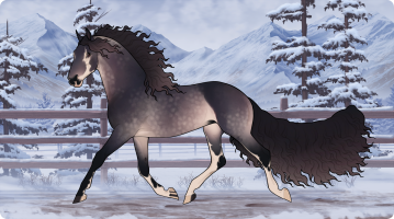 Thumbnail for 11500 MMV Isn't It Midnight
