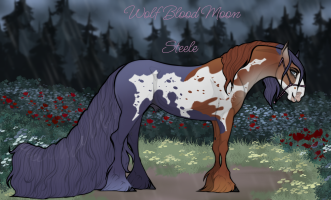 Thumbnail for 11489 Bark At The Moon