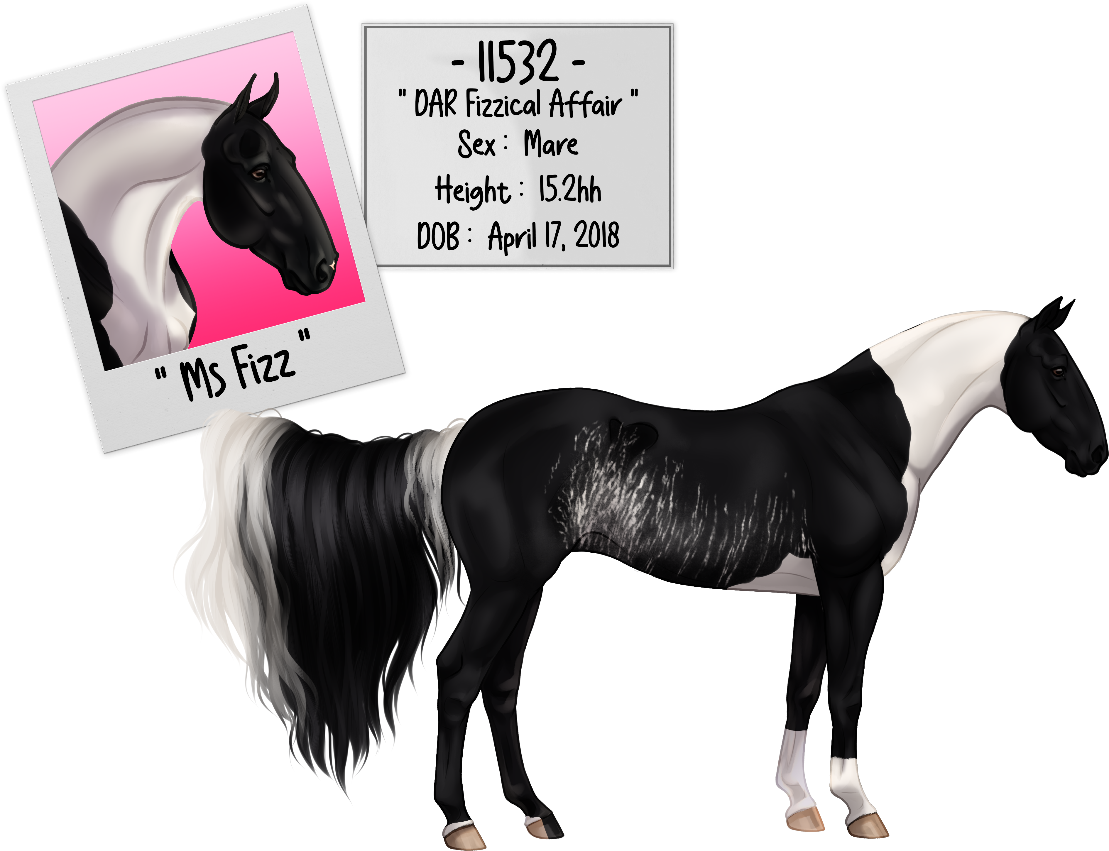 11532 DAR Fizzical Affair