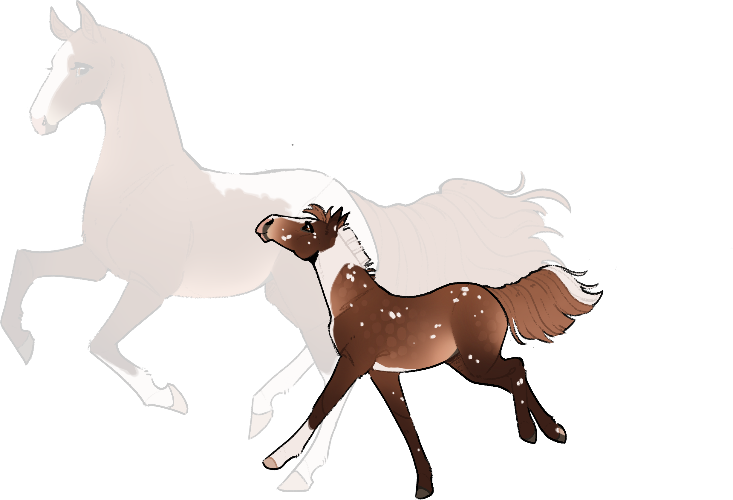 11590 EVA Corylus Avellana