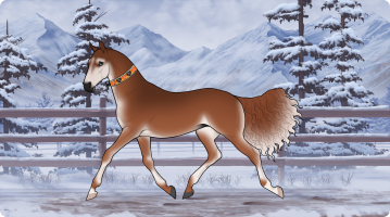 Thumbnail of 10749 Snow Dog