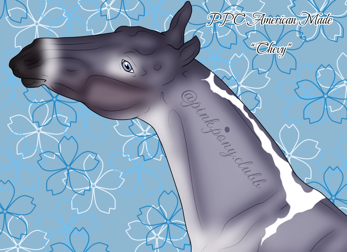 11554 PPC American Made