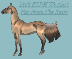 Thumbnail for 2368 ESPH We Ain’t Far From The Stars