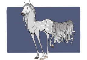 Thumbnail for 11513 SVR Dancing Among The stars
