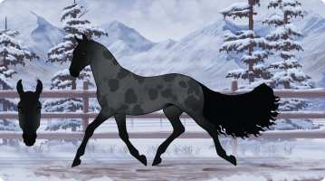 Thumbnail for 2556 RWS Howling At The Moon