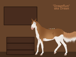 Thumbnail image for 3350 Dreamflum