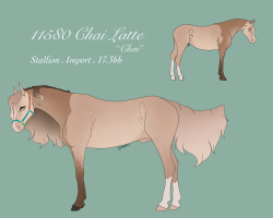 Thumbnail image for 11580 SS Chai Latte