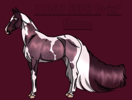 Thumbnail for 11669 ESPH Dyin’ Flame