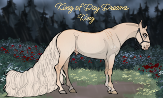 5368 King Of Day Dreams Thumbnail