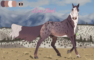 Thumbnail for 11121 Love Shark
