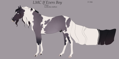 Thumbnail for 11477 LMC If Evers Boy