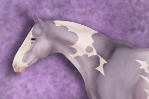 Thumbnail for 10573 Violet Skies