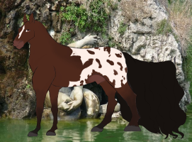 Thumbnail image for 11456 Hershey