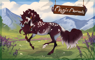 Thumbnail for 10016 Magic Moments