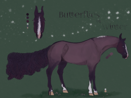 Thumbnail for 11658 Butterflies in Winter