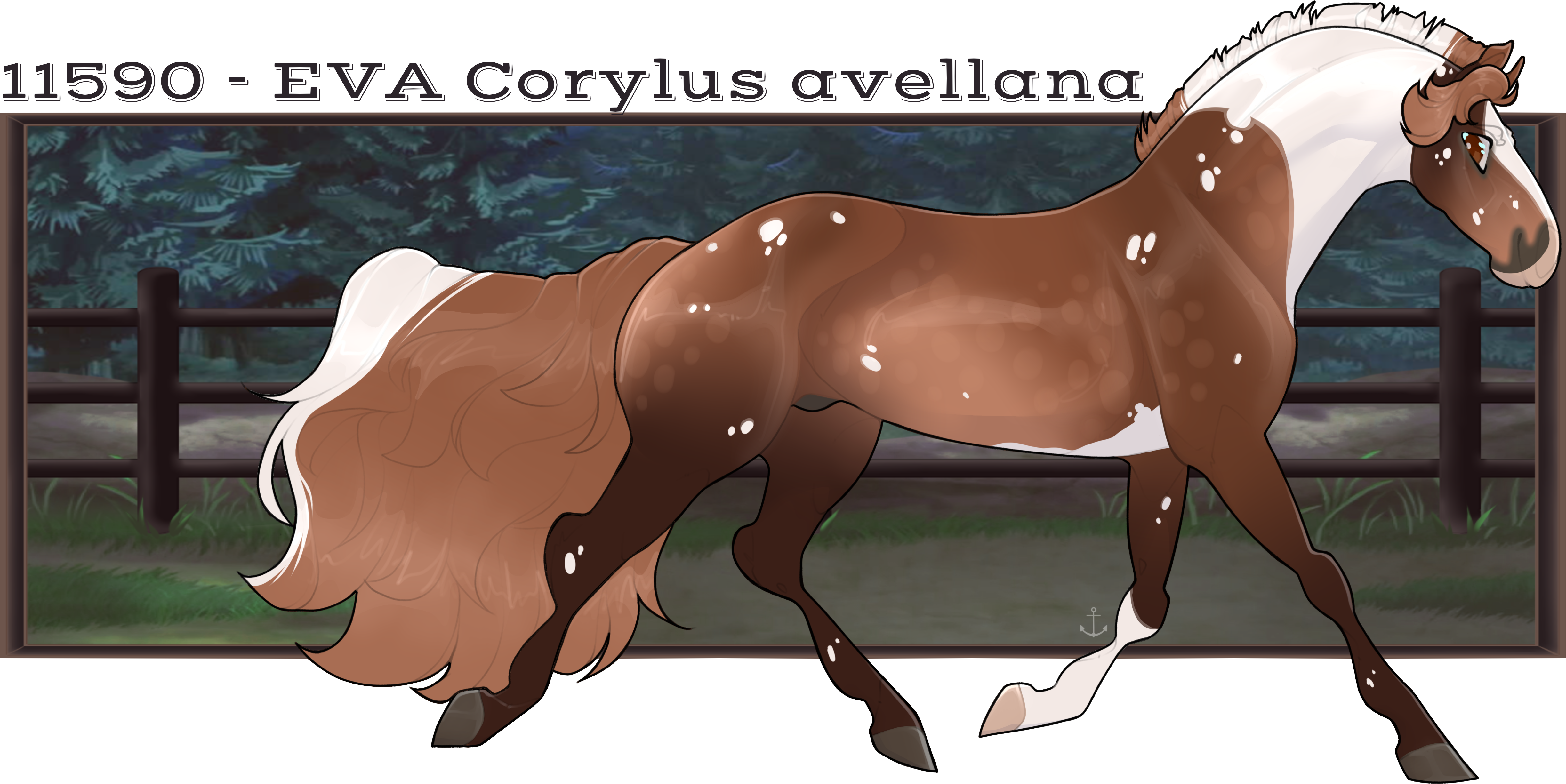 11590 EVA Corylus Avellana