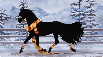 Thumbnail for 9456 Salem witch trials