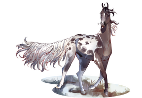 Thumbnail for 11437 Coretto