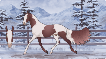 Thumbnail for 11767 Ciaran