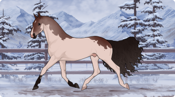 Thumbnail for 11788 Duck Season