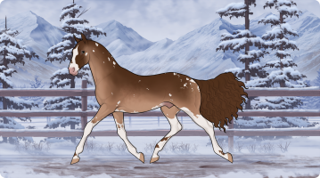 Thumbnail for 11800 Marching Order