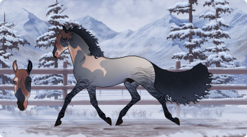 Thumbnail for 11818 Night Fever