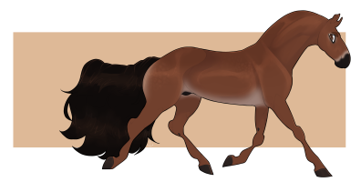 Thumbnail for 11822 MMR Wild Boy