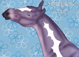 Thumbnail for 11652 PPC Royal Finesse