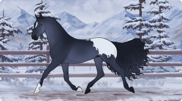 Thumbnail for 11836 SS Starry Night